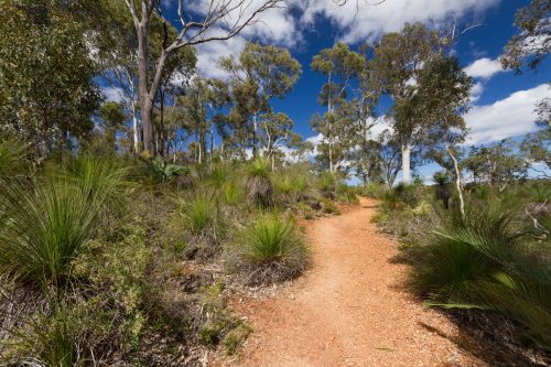 Kalamunda National Park has walking trails near Perth recommended for experienced bushwalkers, but also of various difficulty levels: Easy trails such as Jorgensen Park Walk, moderately challenging trails like Kalamunda Railway Heritage Trail and Channel 10 Tower Walk, and difficult trails such as Rocky Pool Walk, Lewis Road Walk, and Schipp Road Walk.