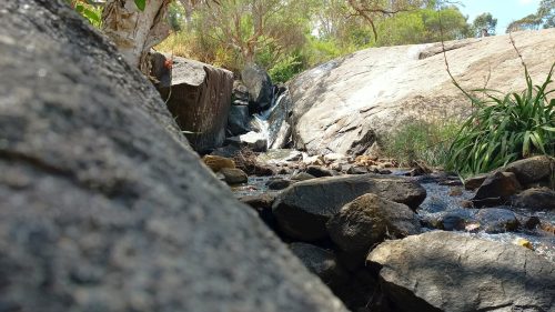 The Whistlepipe Gully walking trail near Perth runs through a creek in Forestfield, WA.